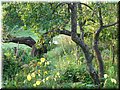 2005-08 Vogesen Garten-01.JPG