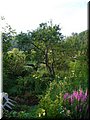 2005-08 Vogesen Garten-02.JPG