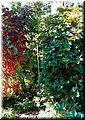 2004-09 Vogesen-Dusche-01.JPG