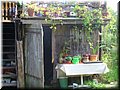 P1020500.JPG
