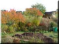 P1050615.JPG