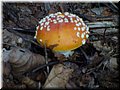 P1020503.JPG
