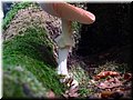 P1020521.JPG