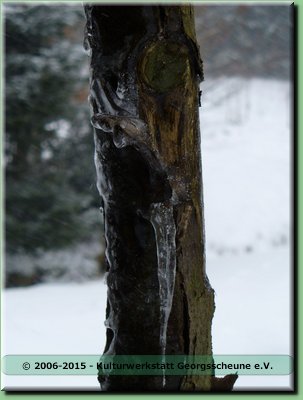 2006-03 Vogesen Ast im Eis-04.JPG
