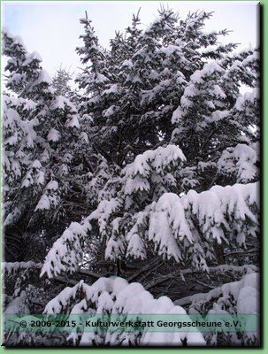 2006-03 Vogesen Winterlandschaft-09.JPG