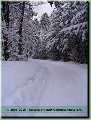 2006-03 Vogesen Winterlandschaft-10.JPG