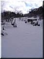 2006-03 Vogesen Winterlandschaft-01.JPG