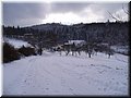 2006-03 Vogesen Winterlandschaft-06.JPG