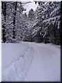 2006-03 Vogesen Winterlandschaft-10.JPG