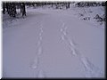 2006-03 Vogesen Winterlandschaft-11.JPG
