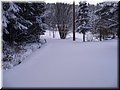 2006-03 Vogesen Winterlandschaft-12.JPG
