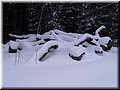 2006-03 Vogesen Winterlandschaft-13.JPG