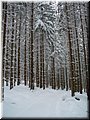 2006-03 Vogesen Winterlandschaft-14.JPG