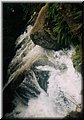 2004-08 Vogesen-Wasser-03.JPG