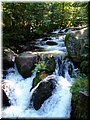 2005-08 Vogesen Saut-de-Cuves-01.JPG