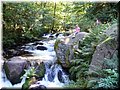 2005-08 Vogesen Saut-de-Cuves-02.JPG