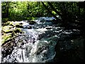 2005-08 Vogesen Saut-de-Cuves-03.JPG