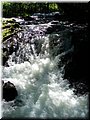 2005-08 Vogesen Saut-de-Cuves-04.JPG