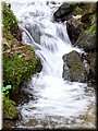 2006-04 Vogesen Cascade-05.JPG